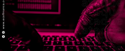 crimes e fraudes ciber